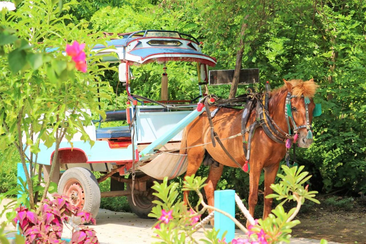 Meno Suites Gili Meno Eksteriør bilde